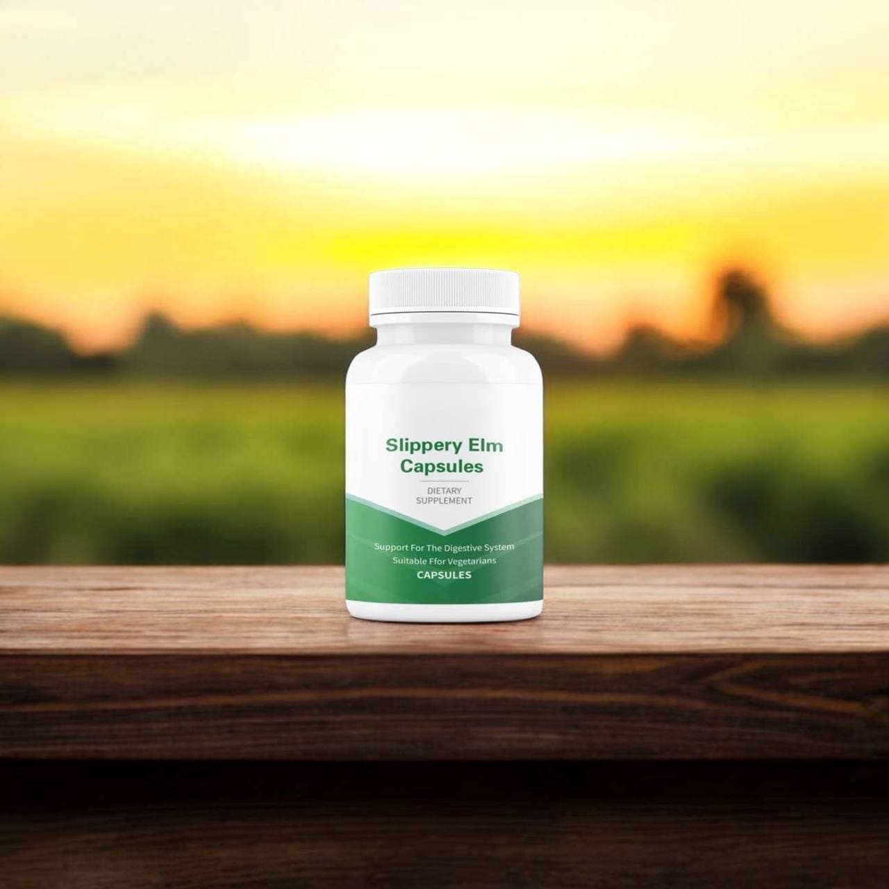 Slippery Elms - View 1